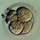Image for article titled Menopause Test Won't Solve The Fertility Puzzle